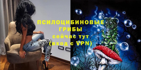 крисы Абдулино