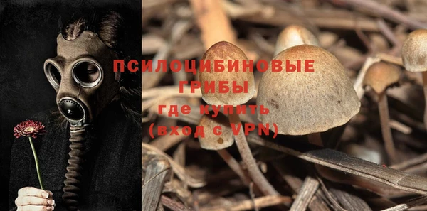 ALPHA PVP Алексеевка