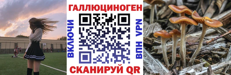 Галлюциногенные грибы Magic Shrooms  Ангарск 