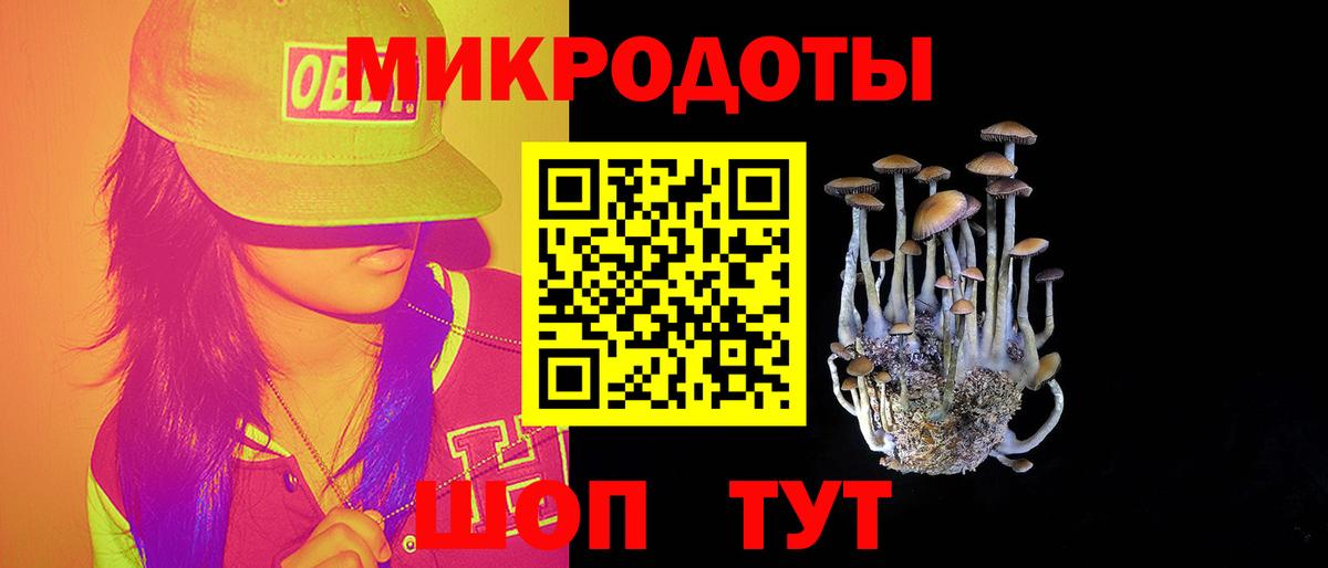 Галлюциногенные грибы Psilocybine cubensis  Вход с VPN  наркошоп  Ангарск 