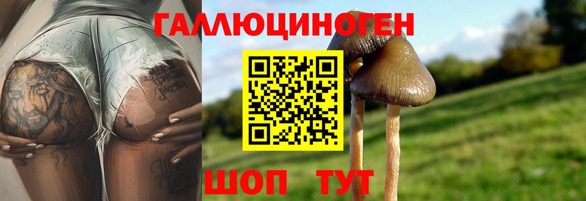 Галлюциногенные грибы GOLDEN TEACHER Ангарск